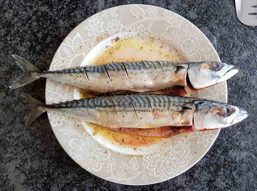 Grilled Mackerel With Spice Crust Recipe Cuisine Fiend